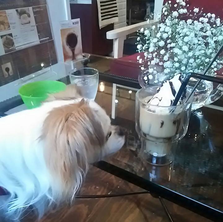 B1da154e fd03 491e a5d9 bf2cac4cce57