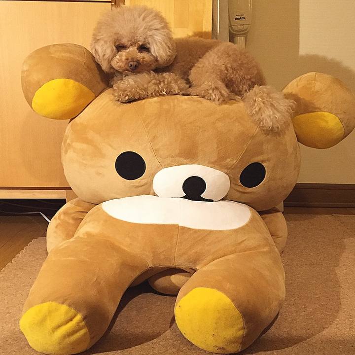 B1daca9d ac08 4e75 8867 332dd274e983