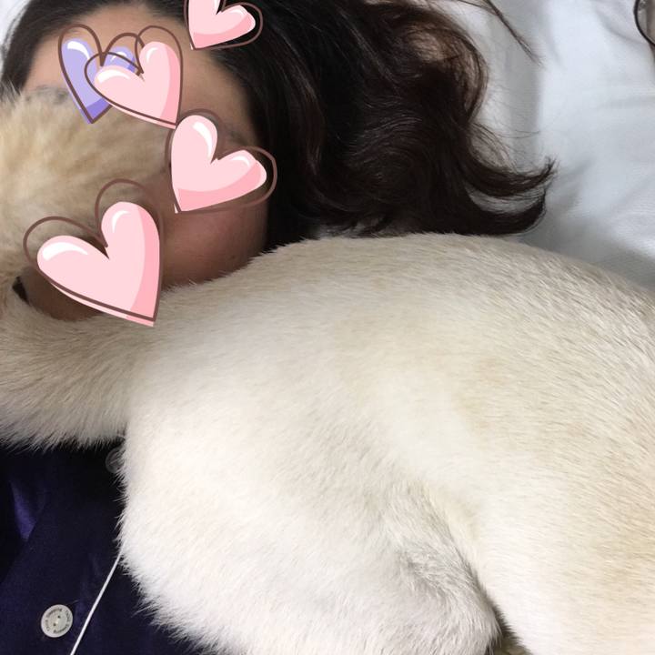 B1db48e1 df58 4dbd 80d5 5844324f36df