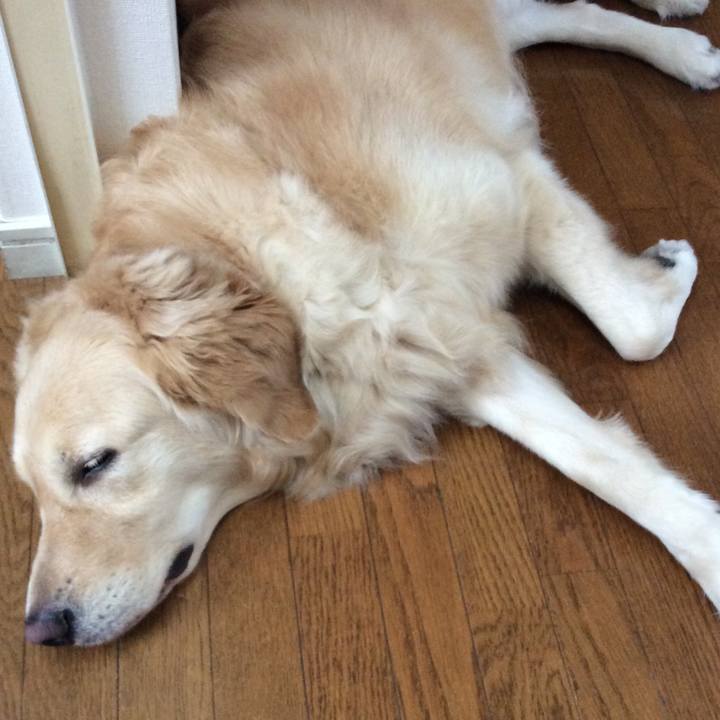 B1db4f3b b7c9 4d7f a893 b2c8a54c6524