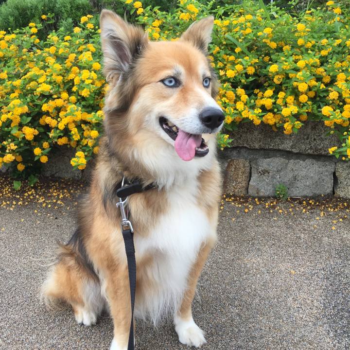 B1db51be ea6a 4013 8457 7803a42ab879