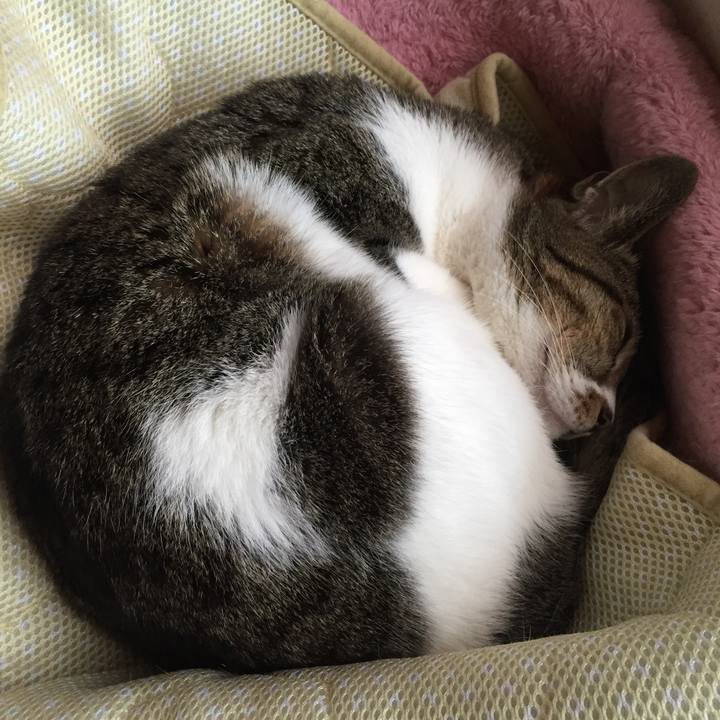 B1db62b9 2cba 458f a8a6 1f6ca9902e51