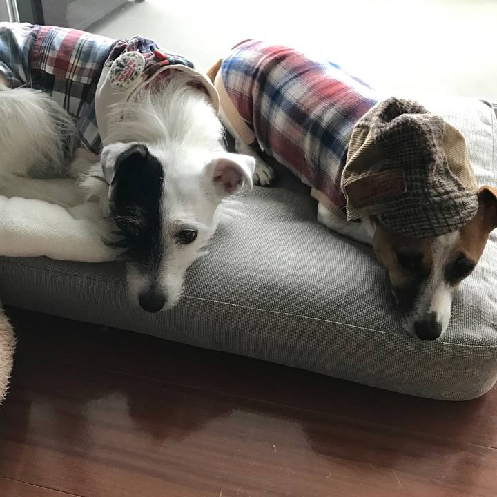 B1db8c0e f951 494e ba8a 0763b4d7a4fe