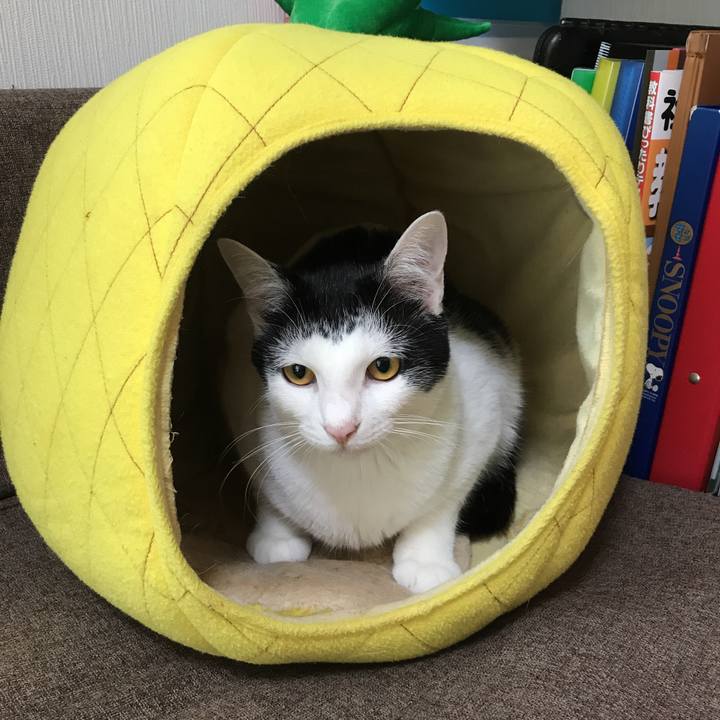 B1dbd781 b724 420d a02a 055ebc1e61af