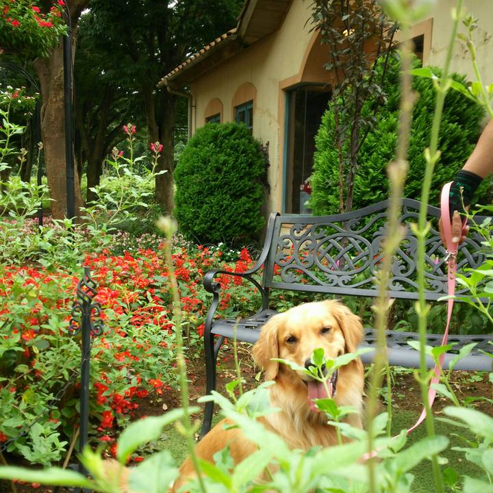 B1dcdf1a db8e 4296 a266 9194d6ce3f9c