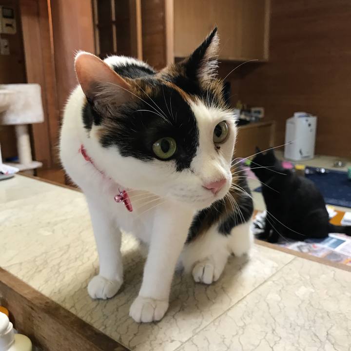 B1de3794 a44d 45af 8bb9 9fb096934deb