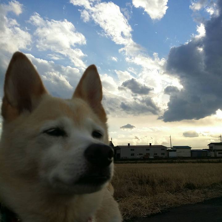 B1de514a a8c4 498a b3f9 703cdc1dd53c