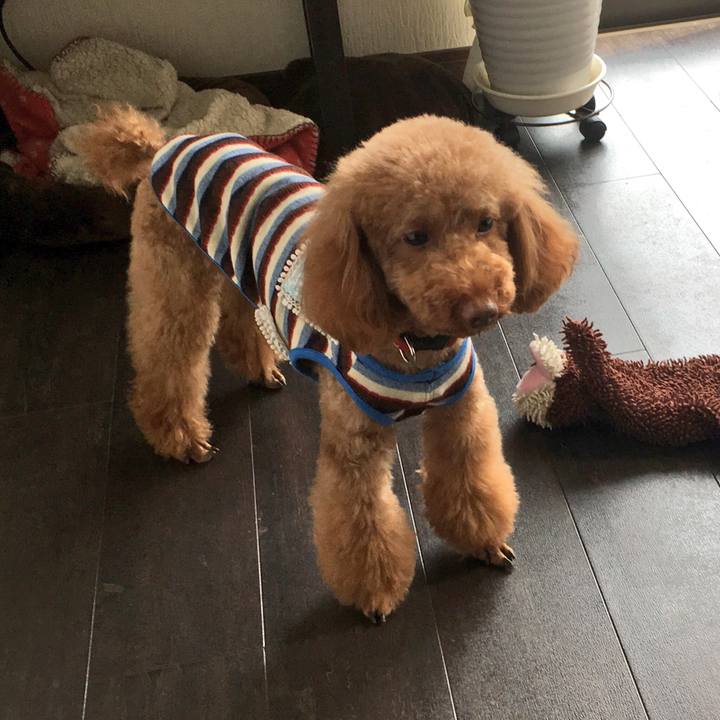 B1de6edc 4197 4259 9893 a0bc836cc6ef