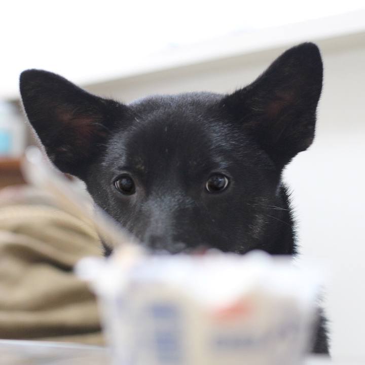 B1de926e 6605 4b82 b576 7db4718680d5