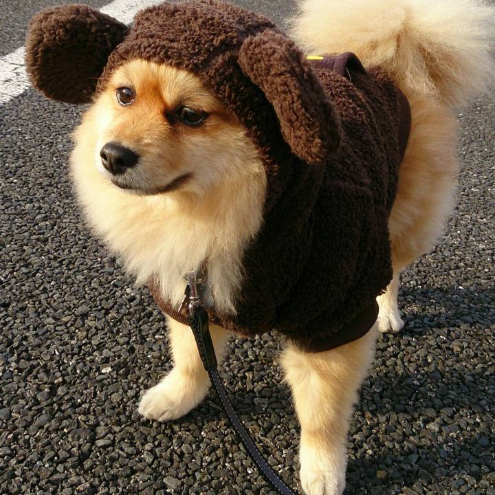 B1df406f 44c3 4c21 a381 5b61390ff113