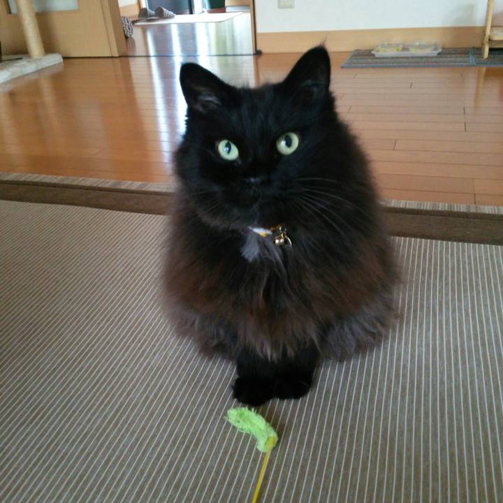 B1df99d9 5ef4 4f41 b6ed b7c81ceb5912