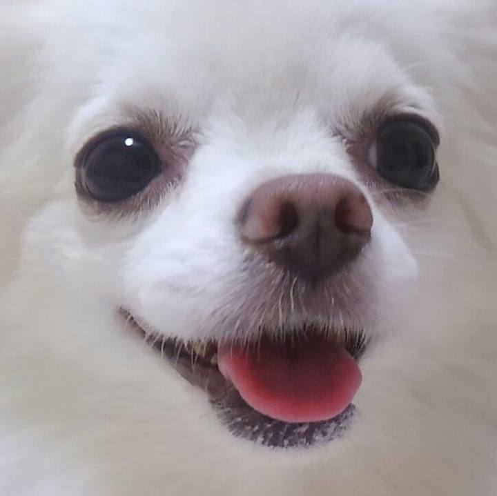 B1e0ad4d 5f1a 4b5c a3aa 9ed5c8e04ec1