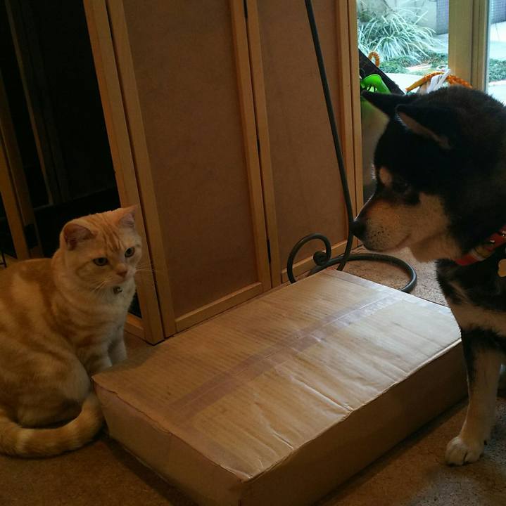 B1e10261 4665 4561 86b8 b79f2a482a73