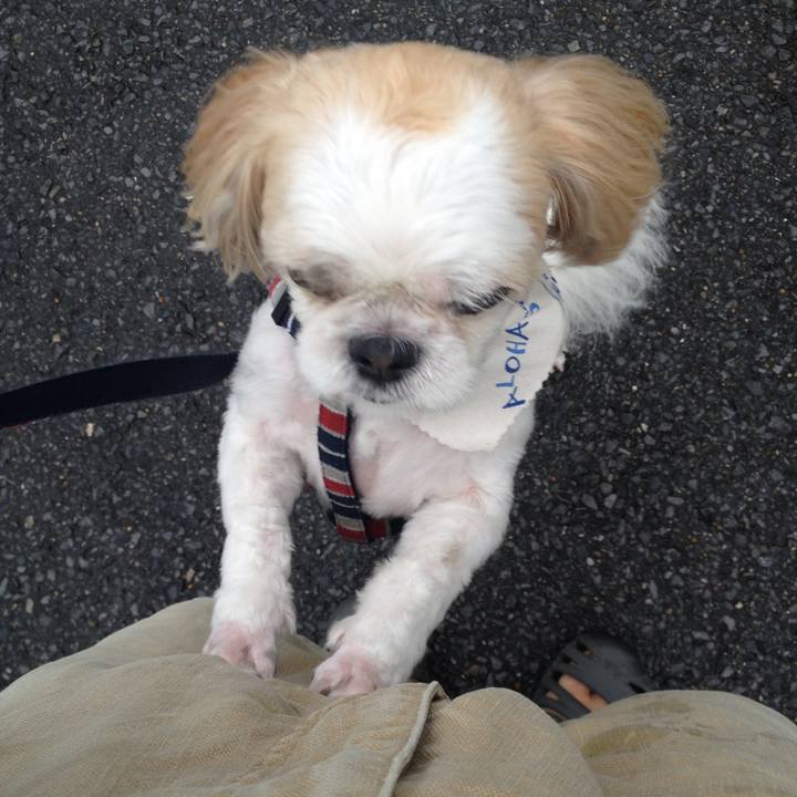 B1e1131c 02aa 4ce7 ab78 7f9797e6529f