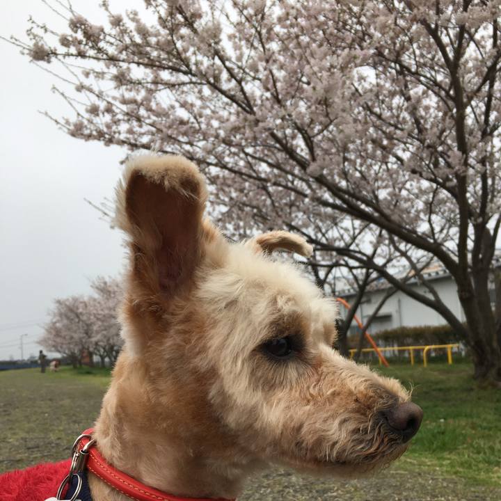 B1e13a4e 3cb1 4f72 8968 69ce8c69fef9