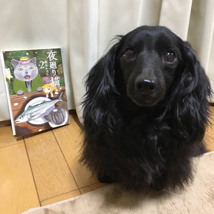 B1e178c4 c651 4d93 998d ebd1c59c0a75