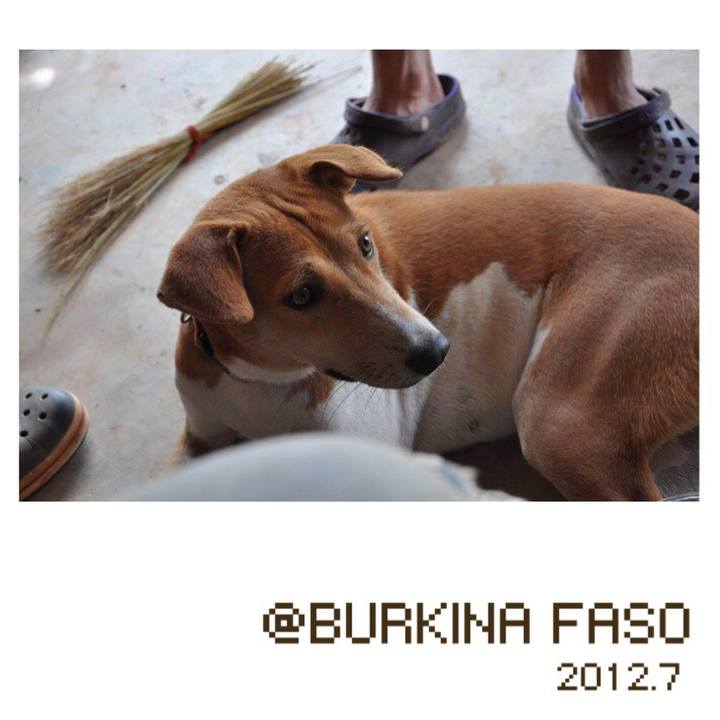 B1e18873 2a1b 4a65 8e54 e858ca8d27e4