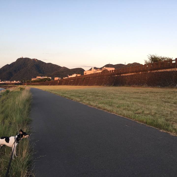 B1e18cf5 7557 4d84 a411 b39e88a75734