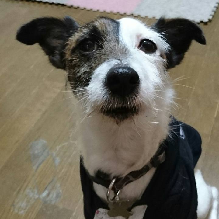 B1e19885 ff21 4eea a0dc e5c9e5cc89f9