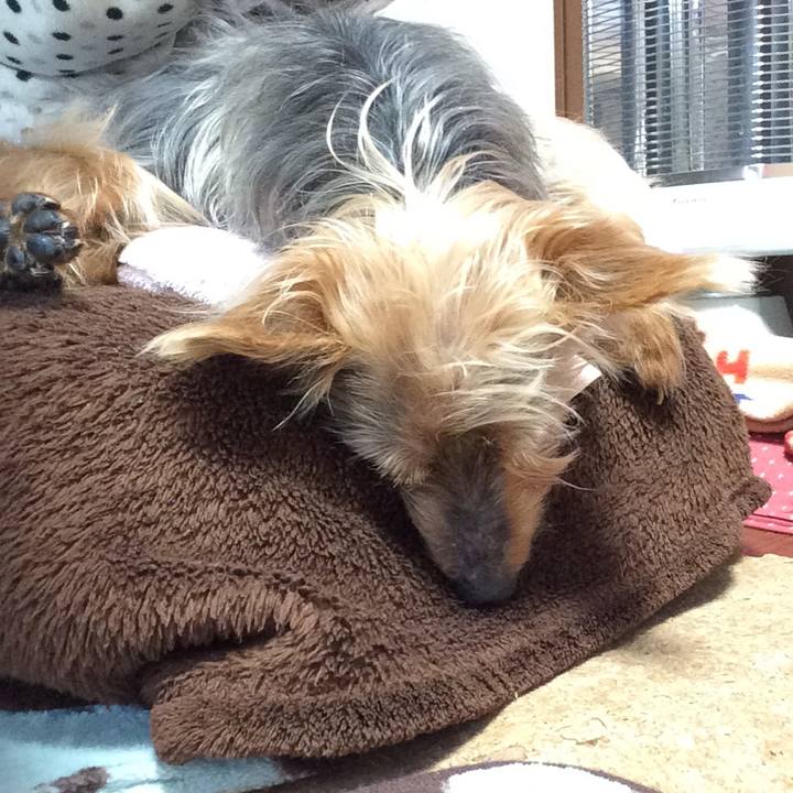 B1e1a585 db0c 460d b272 117d05176951