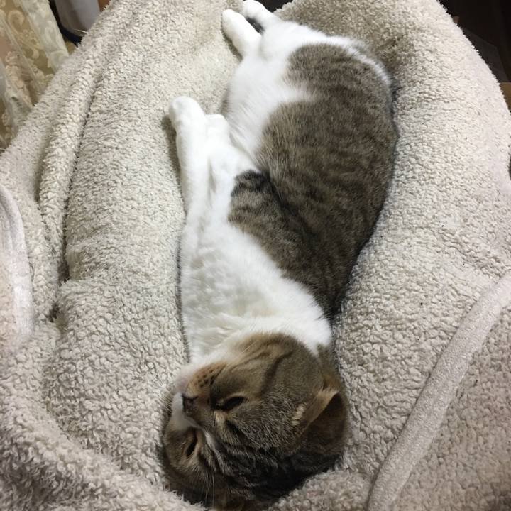 B1e25d7f f3a8 4305 9179 7e034ef11306