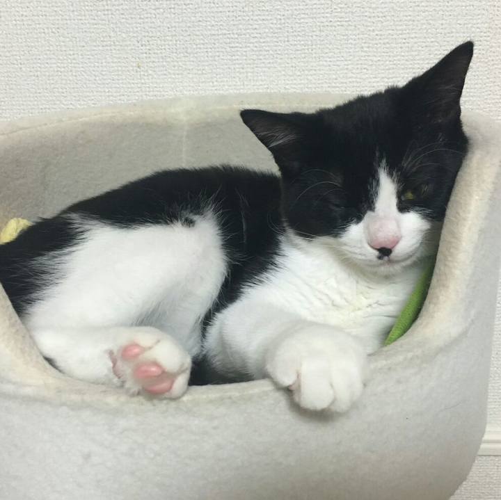 B1e2a23c a4ff 4c33 ac29 792e062f09c2