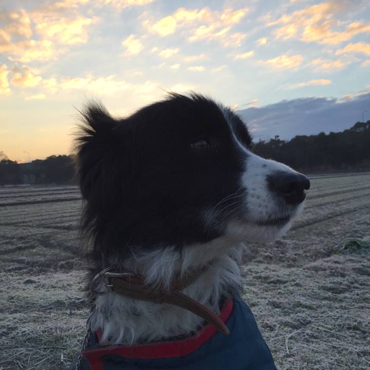 B1e367db a78c 43db 82f4 0c8564df3400