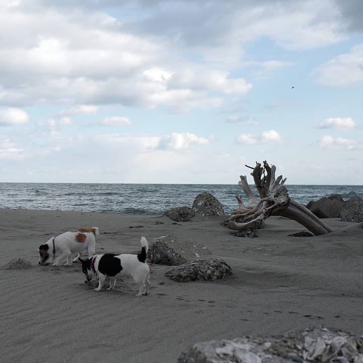 B1e39208 61df 4984 bb53 40e93a92f2dd