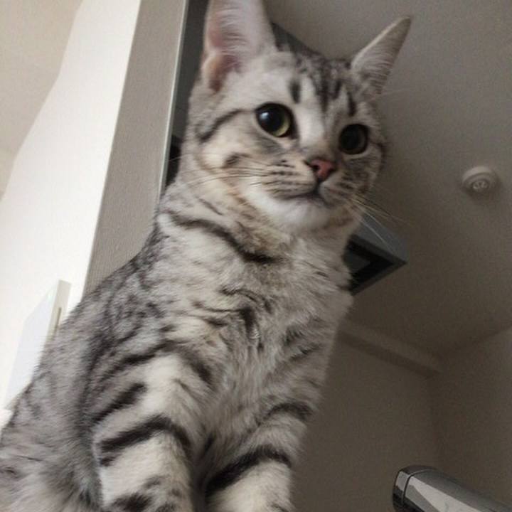 B1e3e43a ba19 4b8b a9b4 581eac3f8274