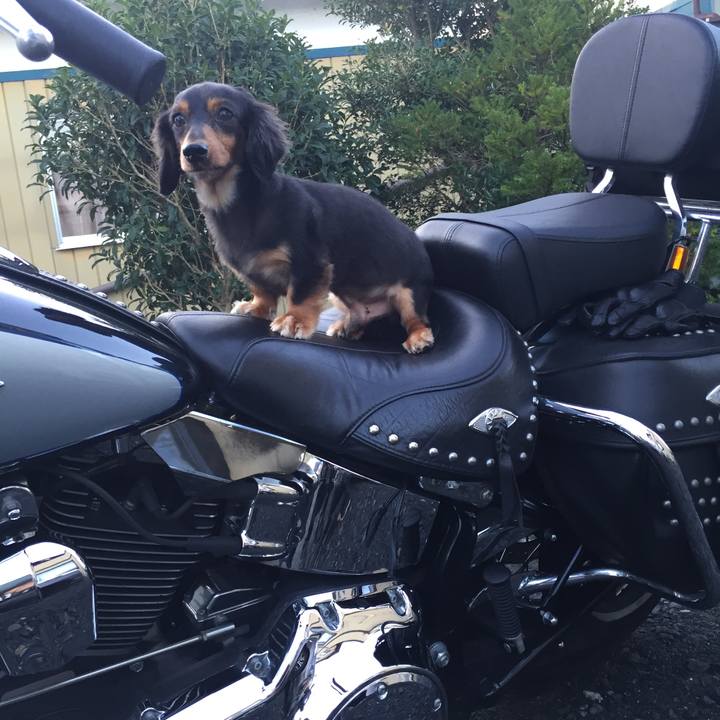 B1e3e49a efe0 4b66 b160 2580ed0e86b9