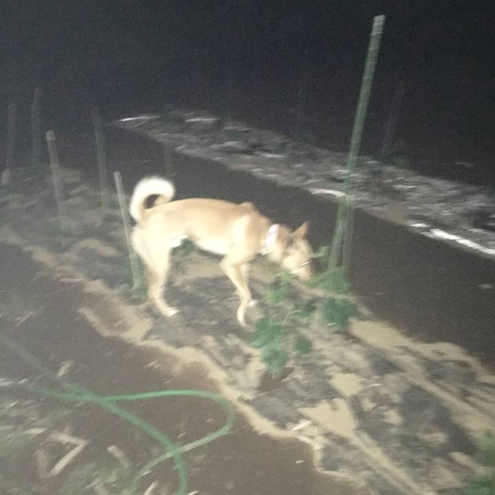 B1e43d6f 51e5 4e13 8dc8 952d6f7ce0b8