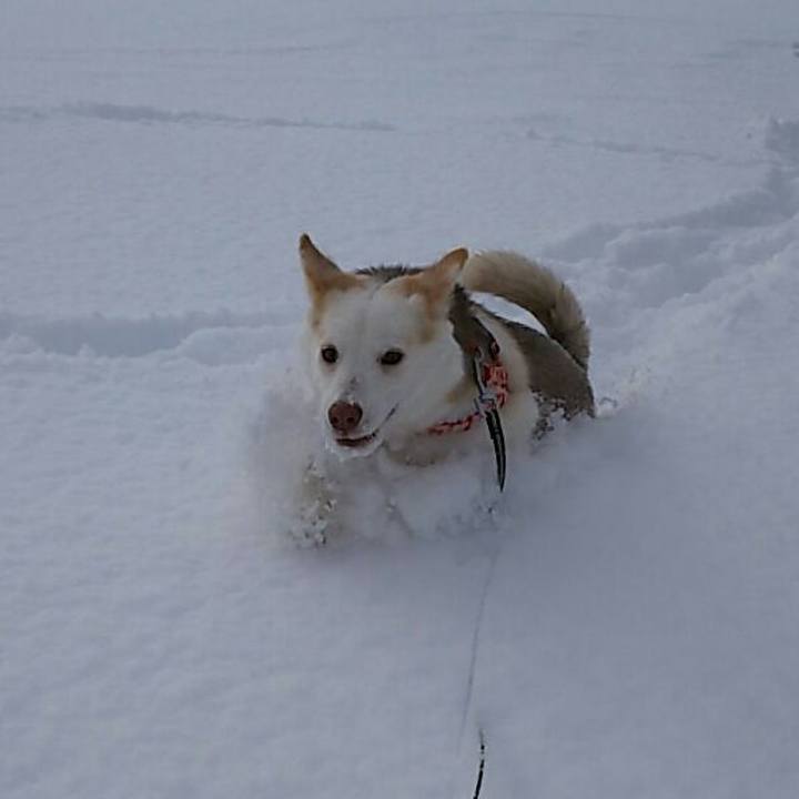 B1e48fb8 9ae2 4893 8a04 09d43299979f