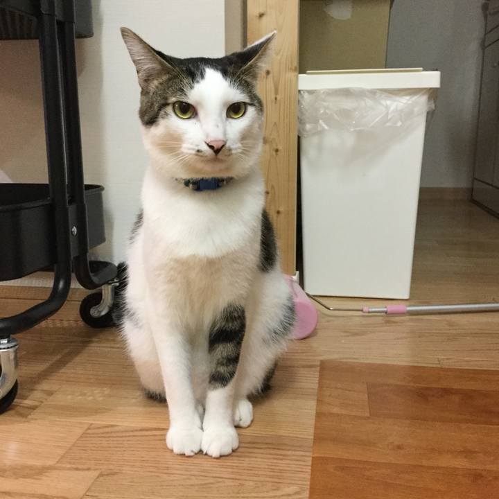 B1e4932f 064e 4253 aca5 577763bfe7b7