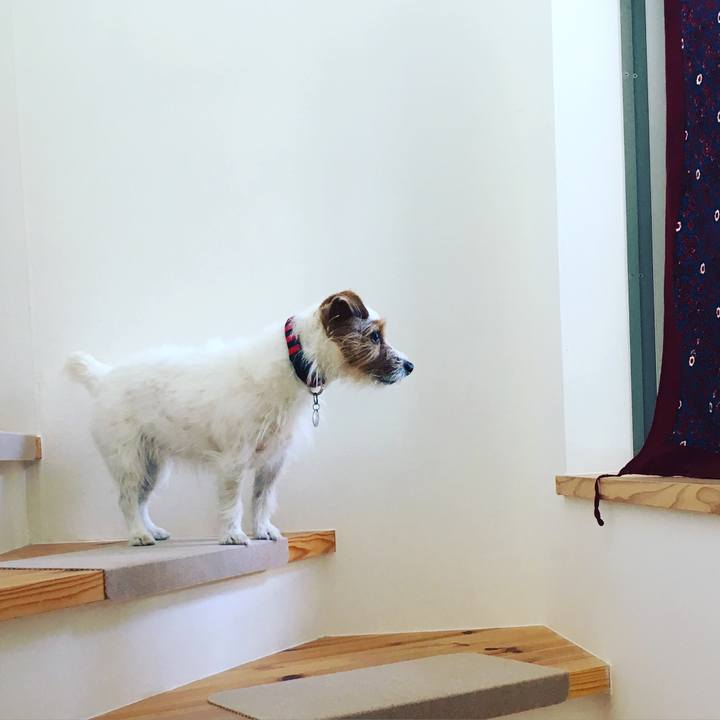 B1e499dc 3b4b 430b ab12 e425e761c50d