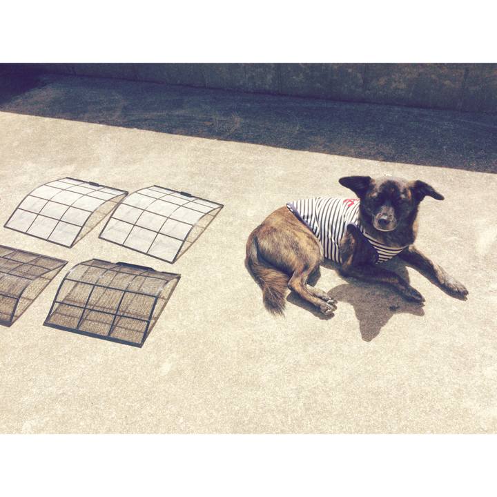 B1e53b9d c794 4e00 8fc0 9a3298d8594c