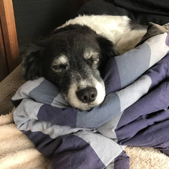 B1e6925d c0c3 46ae b976 9c642f4c0e84