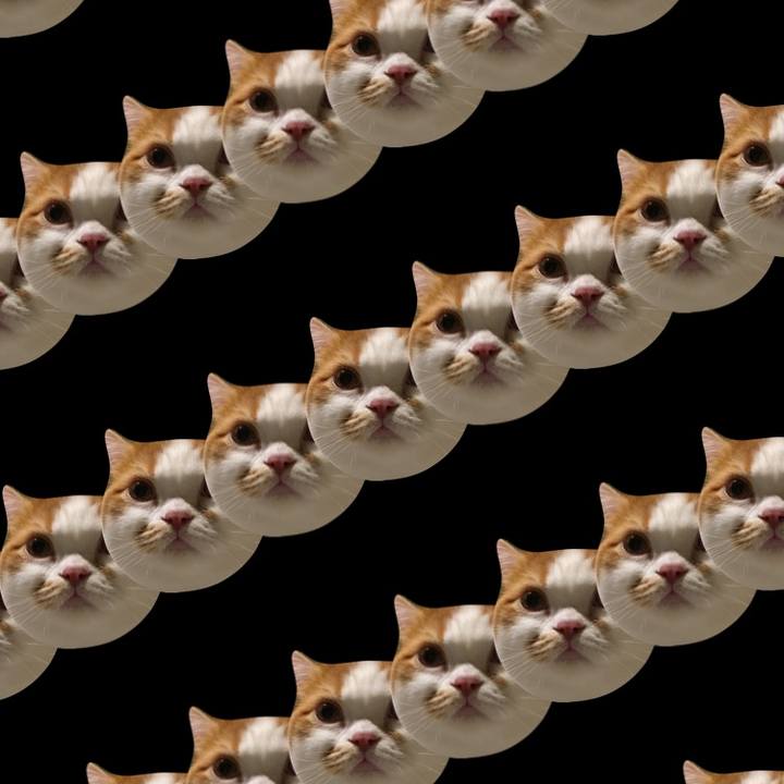 B1e737e6 e7d8 4551 bf47 a20379763cf6