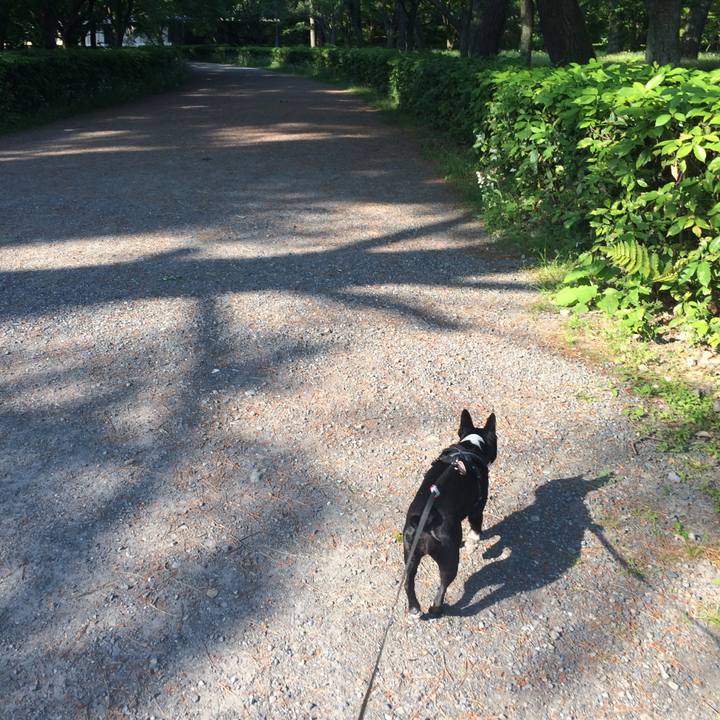 B1e7a0a9 d682 4941 99b1 689142ba9579