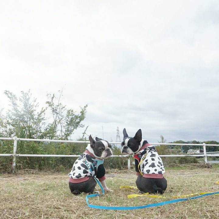 B1e87179 f33c 4576 8d96 a139606e7a13