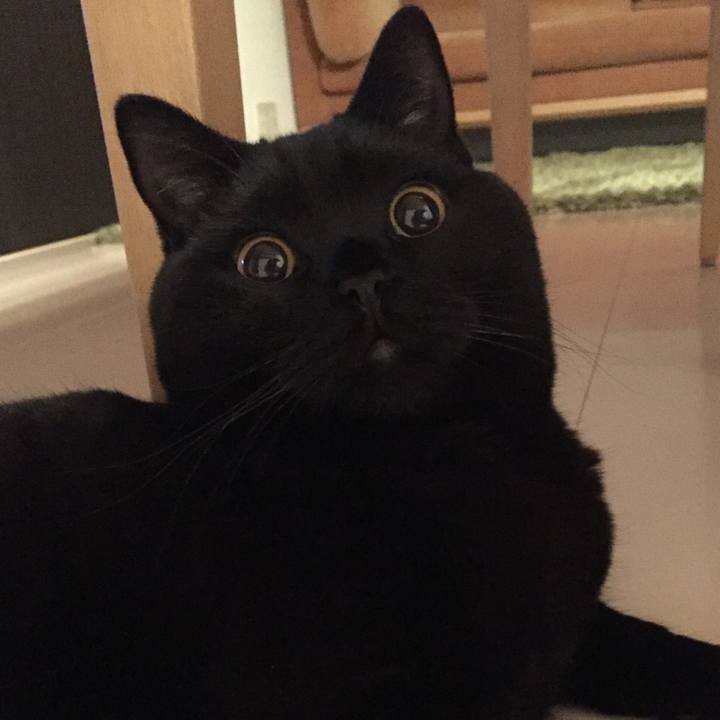 B1e90eee 1887 4443 871e 9ed788d6085a