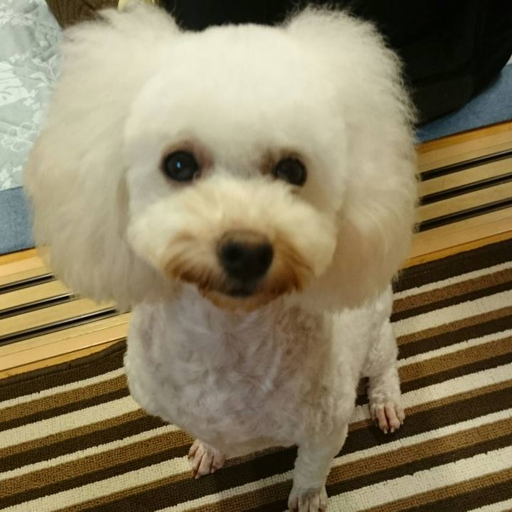 B1e98acc 20e5 4e8c bf8c a4a2607cdaf5