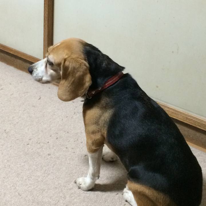 B1e99a8d bba8 44a9 940f 54cf52bab07a