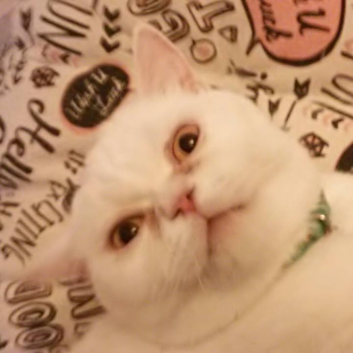 B1ea554a 9204 4e3b a0da e132a57a1980