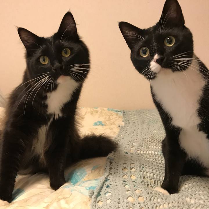 B1eab082 fd39 438f 8465 cd26088f4cc7