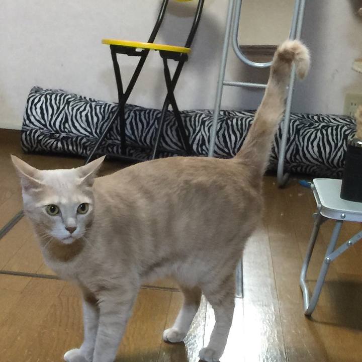 B1eab2f7 0f45 4e57 a132 9f6c6aedc854