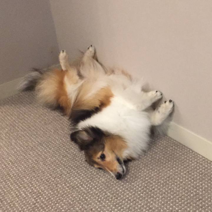 B1eac4c6 4b8e 4e31 966e 836bd54ee685