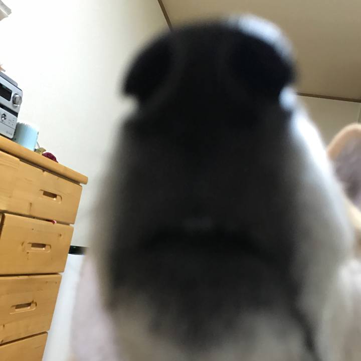 B1eb06e0 6632 49ee 8590 10a820f17d81