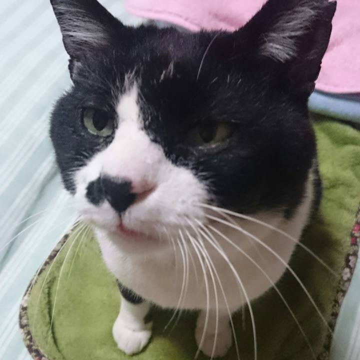 B1eb6076 87d3 4c05 b886 04049f9fc0d4