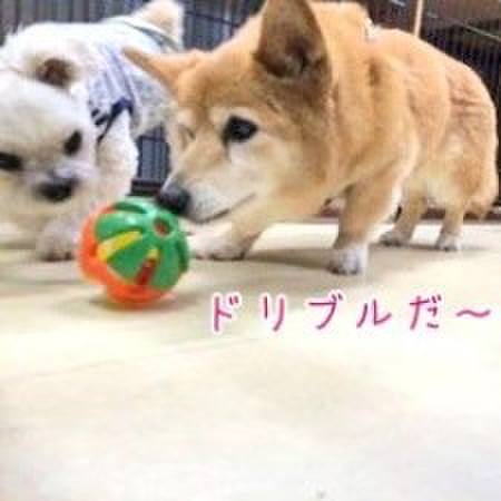 B1eb9200 18b0 44c8 98c2 fc58b65cbd07