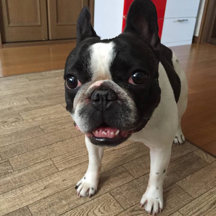 B1ebc7c1 a19a 471f a317 0da01fca4633